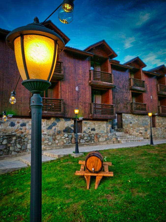 Hotel Banguriani Mestia Extérieur photo